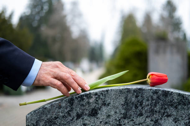 istockphoto-1313444277-612x612.jpg