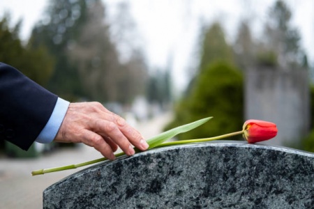 istockphoto-1313444277-612x612.jpg